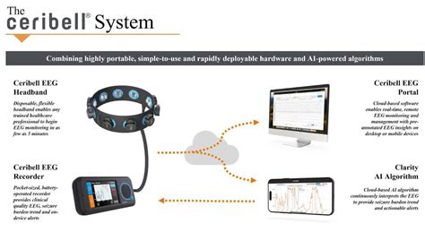 CeriBell IPO Features Revenue Growth But High Operating Losses.